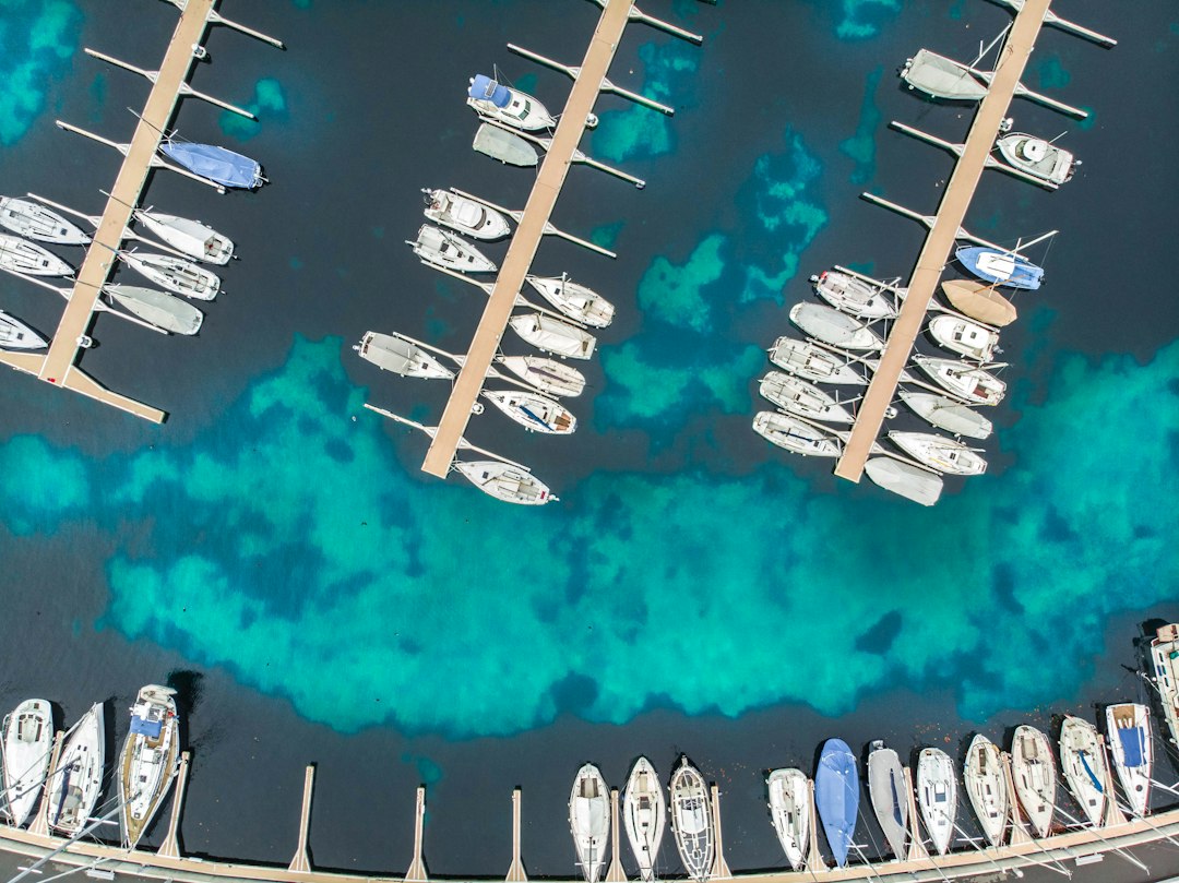 Boats docked at a waterfront marina